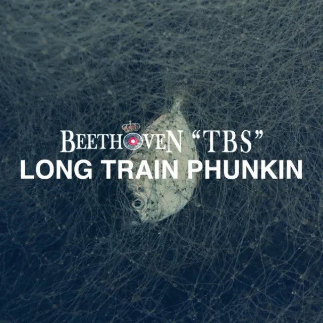 Long Train Phunkin' - Radio Edit