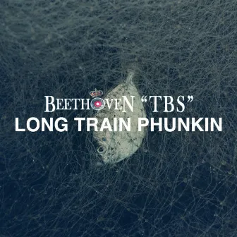 Long Train Phunkin' by Beethoven TBS