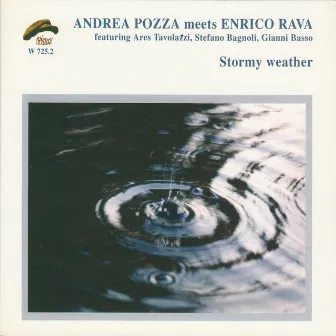 Stormy Weather by Andrea Pozza