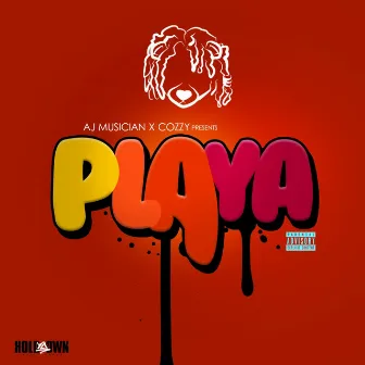 Playa by AJ the Musician