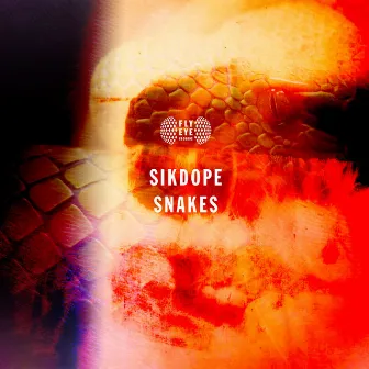 Snakes by Sikdope