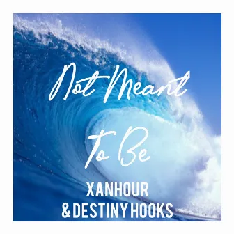 Not Meant To Be by Destiny Hooks