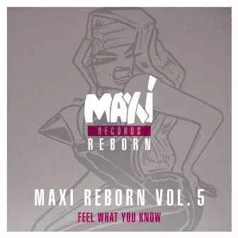 Maxi Reborn, Vol. 5: Feel What You Know by Big Muff