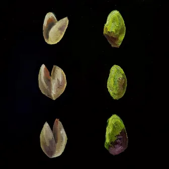 Pistachio Shells by Greenfield