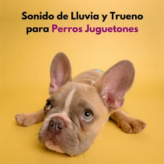 Sonido De Lluvia Y Trueno Para Perros Juguetones by Música tranquila para perros