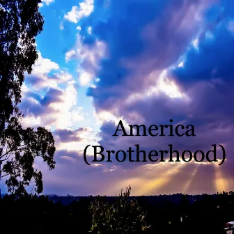 America (Brotherhood) by Martin Davich