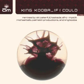 If I Could by King Kooba