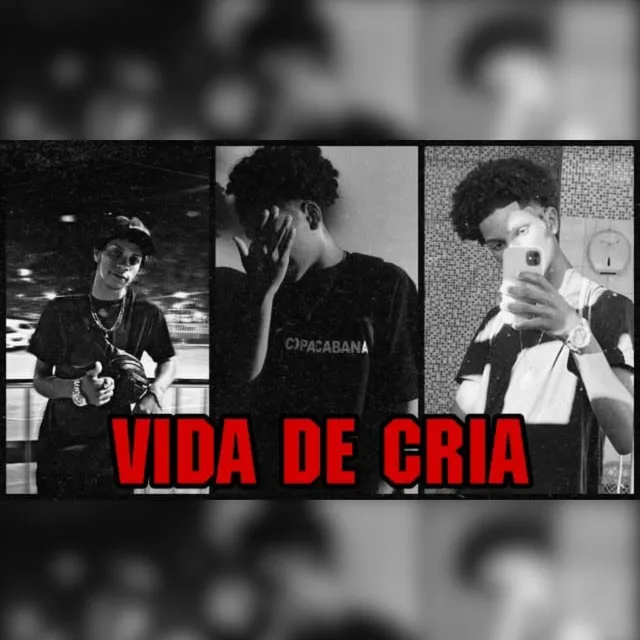 Vida de cria