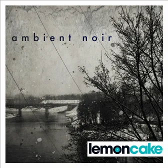 Ambient Noir by Stuart Peck