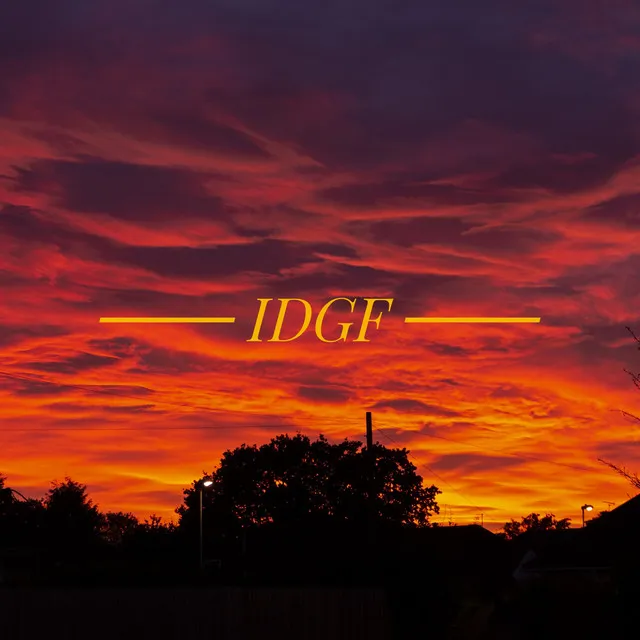 IDGF - Demo