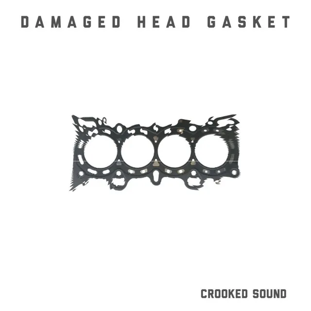 Damaged head gasket