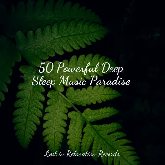 50 Powerful Deep Sleep Music Paradise by Thunderstorm Sound Bank