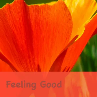 Feeling Good by Johannes Faber