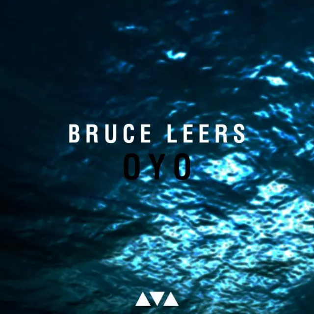 Bruce Leers