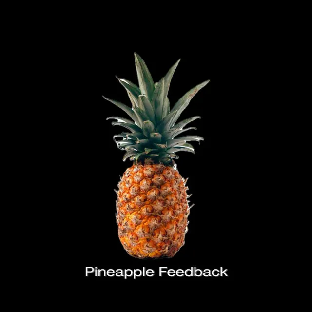 Pineapple Feedback