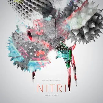 Secrets by Nitri