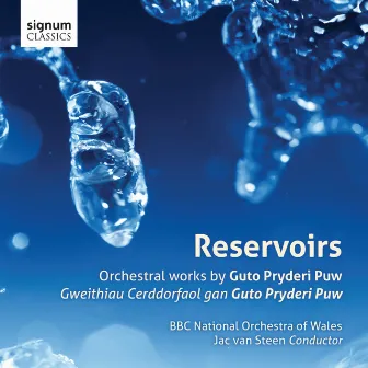 Reservoirs: Gweithiau Cerddorfaol gan Guto Pryderi Puw by David Cowley