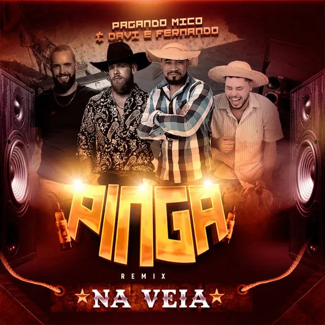 Pinga na Veia - Remix