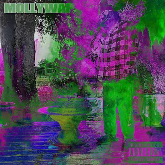 MOLLYWAP by SHERMSTICK