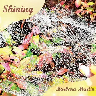 Shining by Barbara Martin