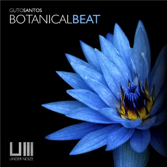 Botanical Beat by Unknown Artist