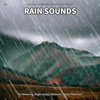 #01 Rain Sounds for Relaxing, Night Sleep, Wellness, Noise Pollution by Rain Sounds by Keiki Avila