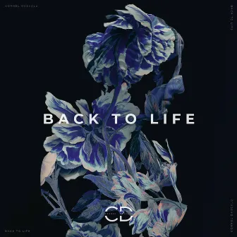 Back To Life by Cornel Dascalu