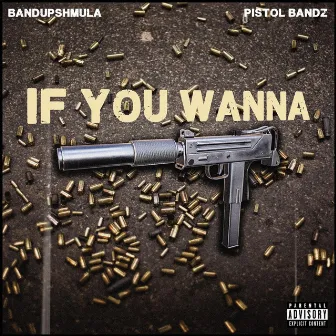 If You Wanna by Pistol Bandz