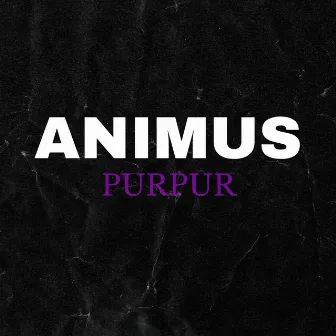 Purpur (Premium Edition) by Animus