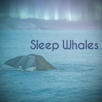 Sleep Whales by Nature Recordings