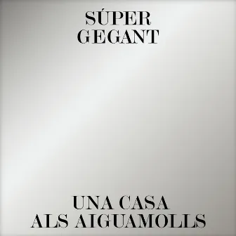 Una casa als aiguamolls by Súper Gegant