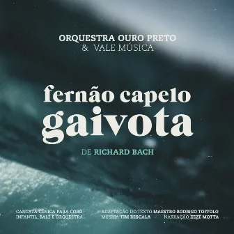 Fernão Capelo Gaivota by Tim Rescala