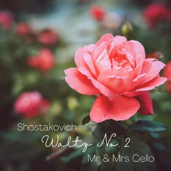 Suite for Variety Orchestra: VII. Waltz No. 2 (Arr. for Two Cellos) by Mr & Mrs Cello