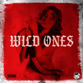 WILD ONES by Johnny Smoke