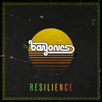 Resilience by Bayonics