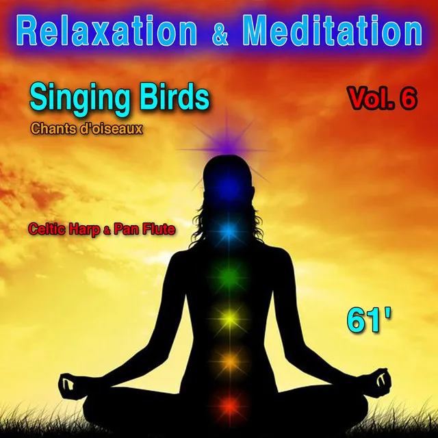 Relaxation & Meditation Vol. 6: Singing Birds (Chants d'oiseaux)