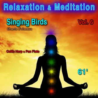 Relaxation & Meditation Vol. 6: Singing Birds (Chants d'oiseaux) by Neuilly