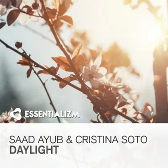 Daylight by Saad Ayub