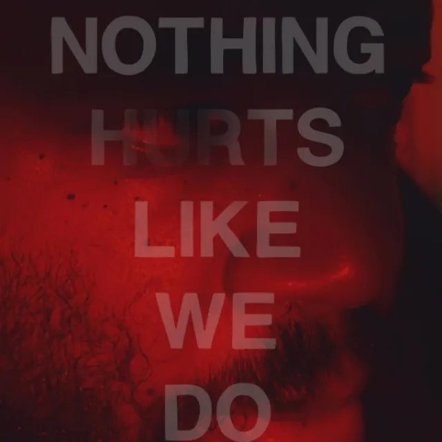 Nothing Hurts Like We Do