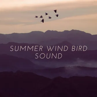 Summer Wind Bird Sound by Pure Nature Noises