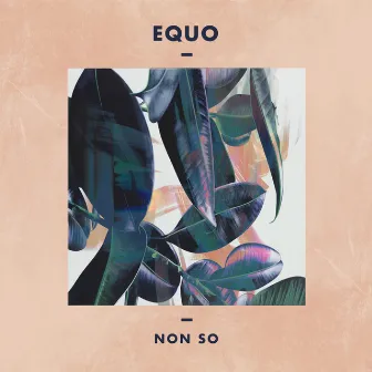 non so by equo