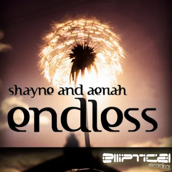 Endless by Aeriah