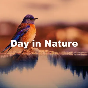 Day in Nature by Morning Nature