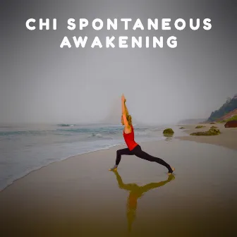 Chi Spontaneous Awakening: Walking Meditation and Evening Relaxation by Chinese Yang Qin Relaxation Man