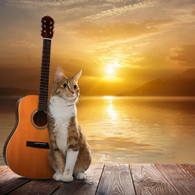 Cats' Soothing Guitar