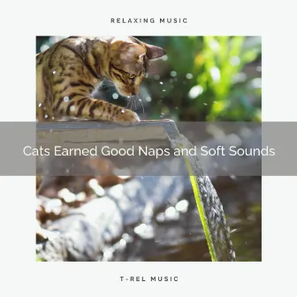 Cats Earned Good Naps and Soft Sounds by Cats Music Cradle