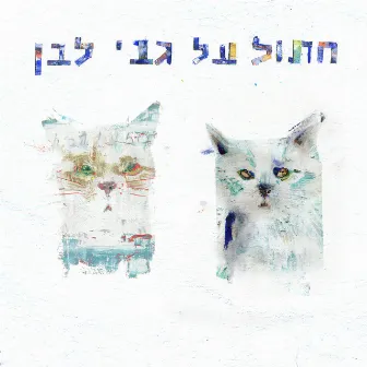 חתול על גבי לבן by Keren & Tamuz