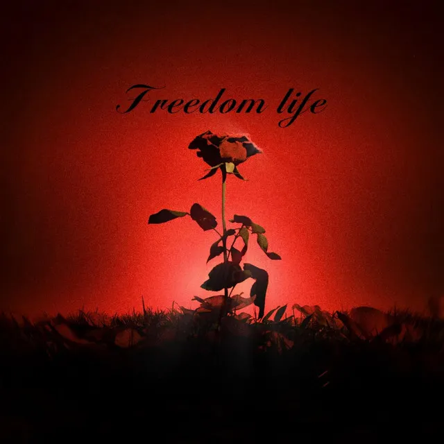 Freedom Life