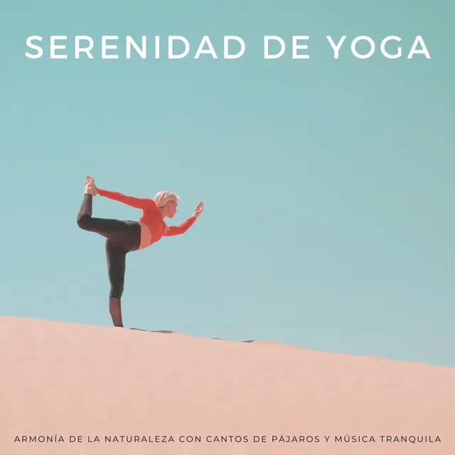 Serenidad De Yoga: Armonía De La Naturaleza Con Cantos De Pájaros Y Música Tranquila