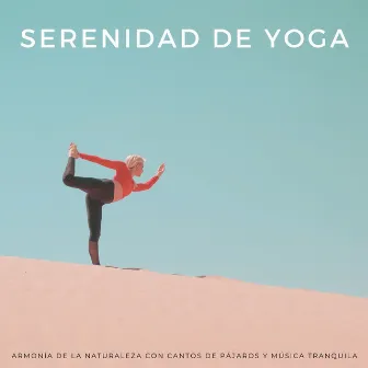 Serenidad De Yoga: Armonía De La Naturaleza Con Cantos De Pájaros Y Música Tranquila by Zona de Música Relajante de Yoga